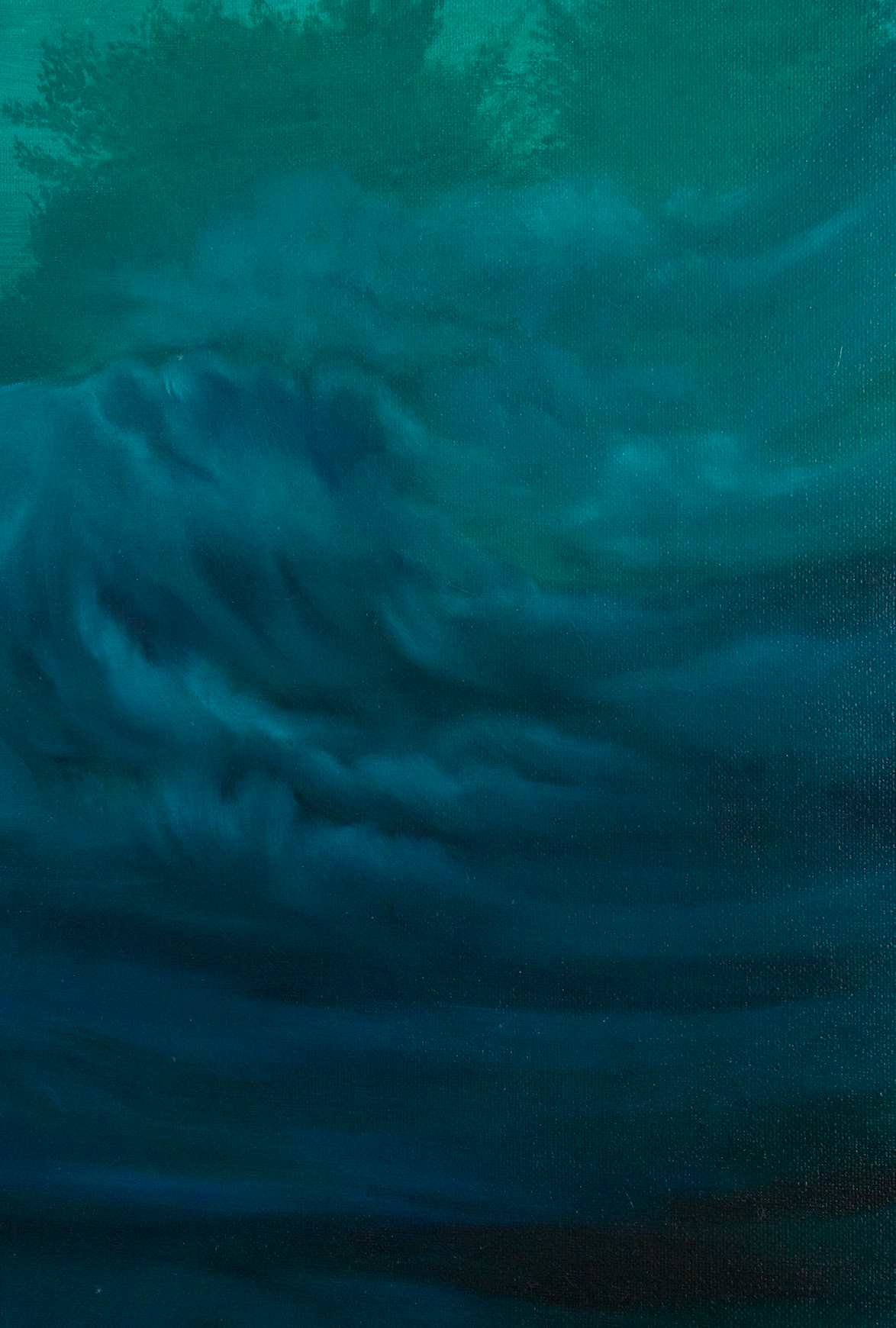 The Shape of Water