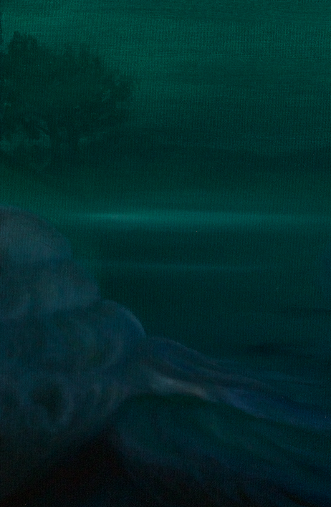 The Shape of Water